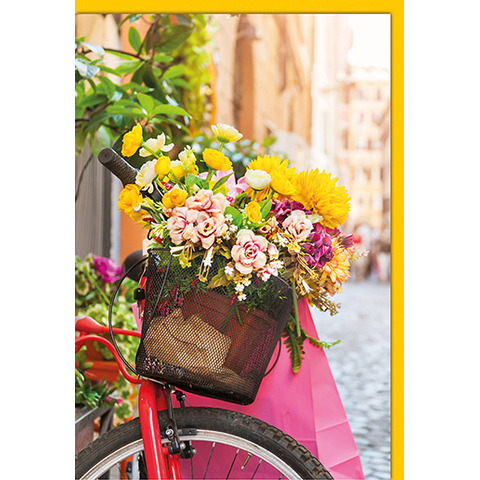 Blume, Blumen-Arrangement, Blumenstrauß, Fahrrad, Florales Design