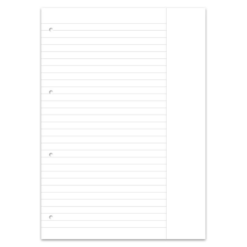 notizblock, linienpapier, ringbuchlöcher, weißes blatt, notizpapier