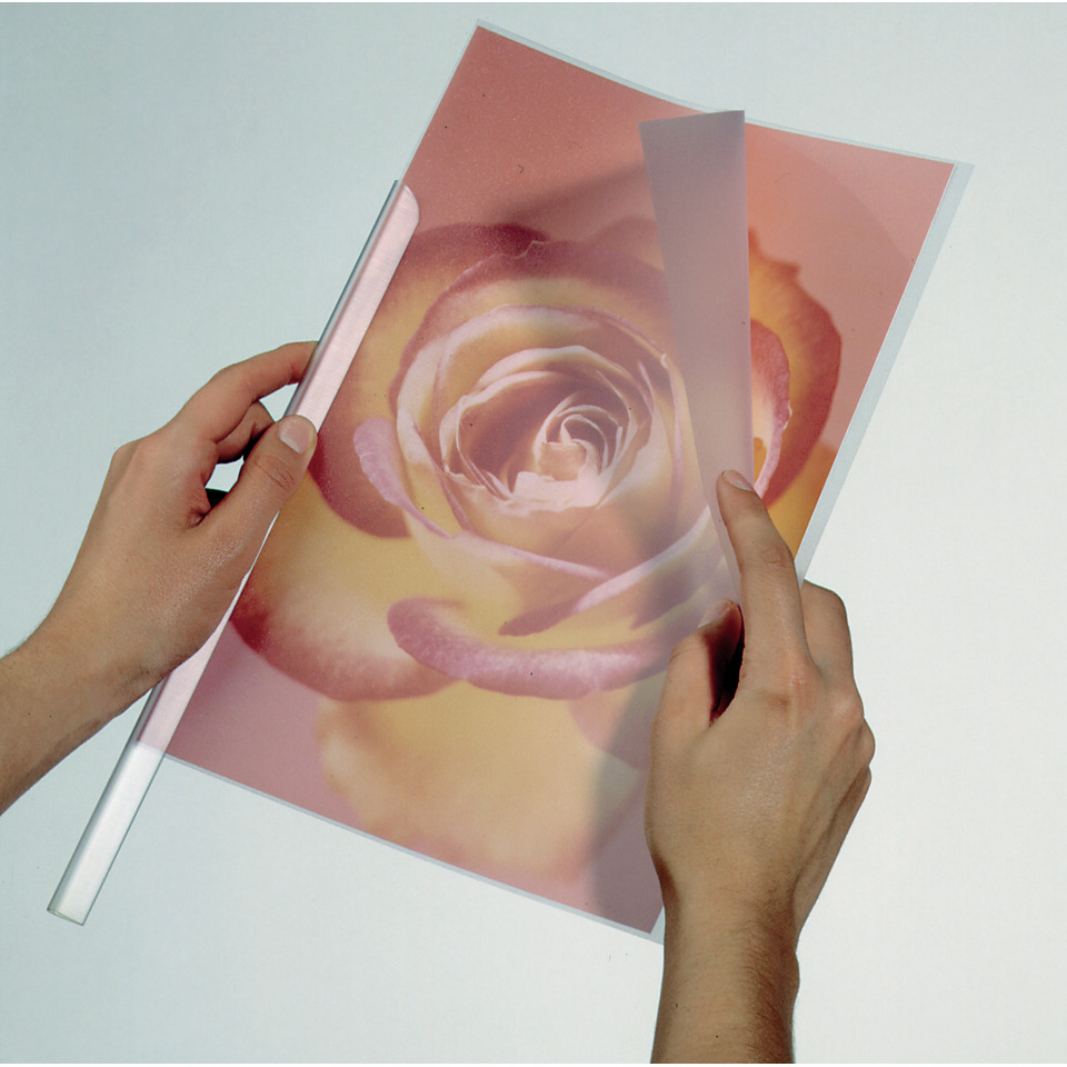 Poster, Rose Bild, Rosa Gradient, Gefalteter Druck, Hand gehalten