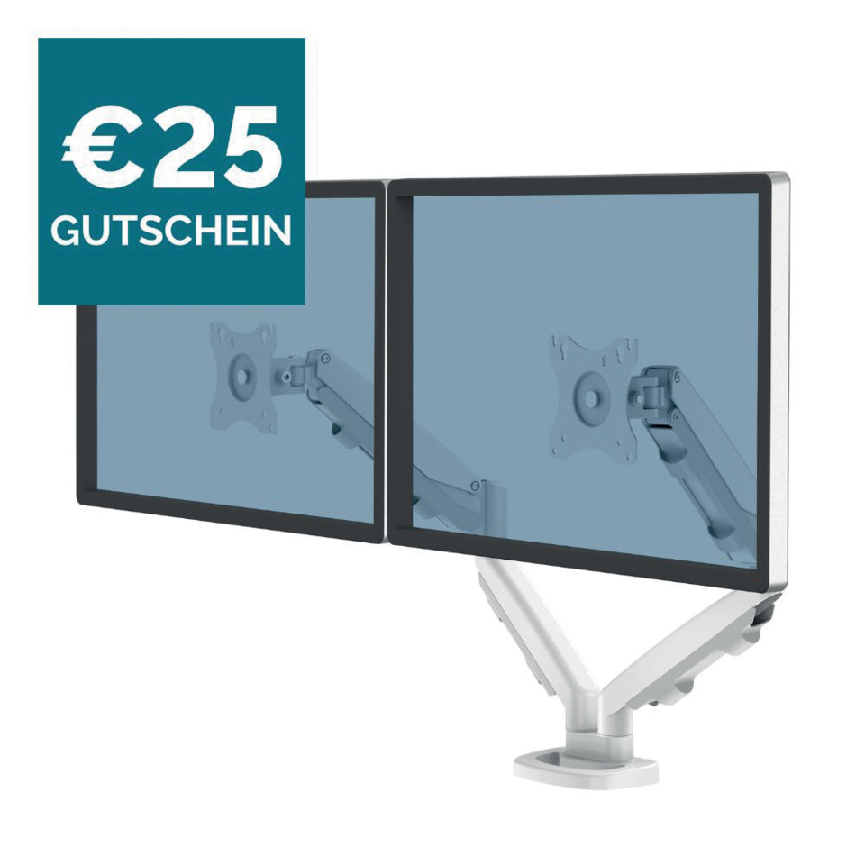 Monitor, Dual screen, Monitor arm, VESA mount, Gutschein