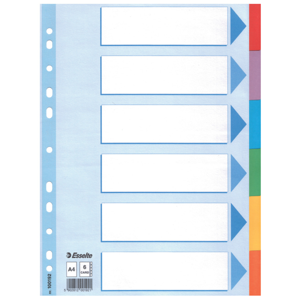 Kartonregister Standard Blanko, A4, Karton, 6 Blatt, weiss ESSELTE 100192 Seite, Text